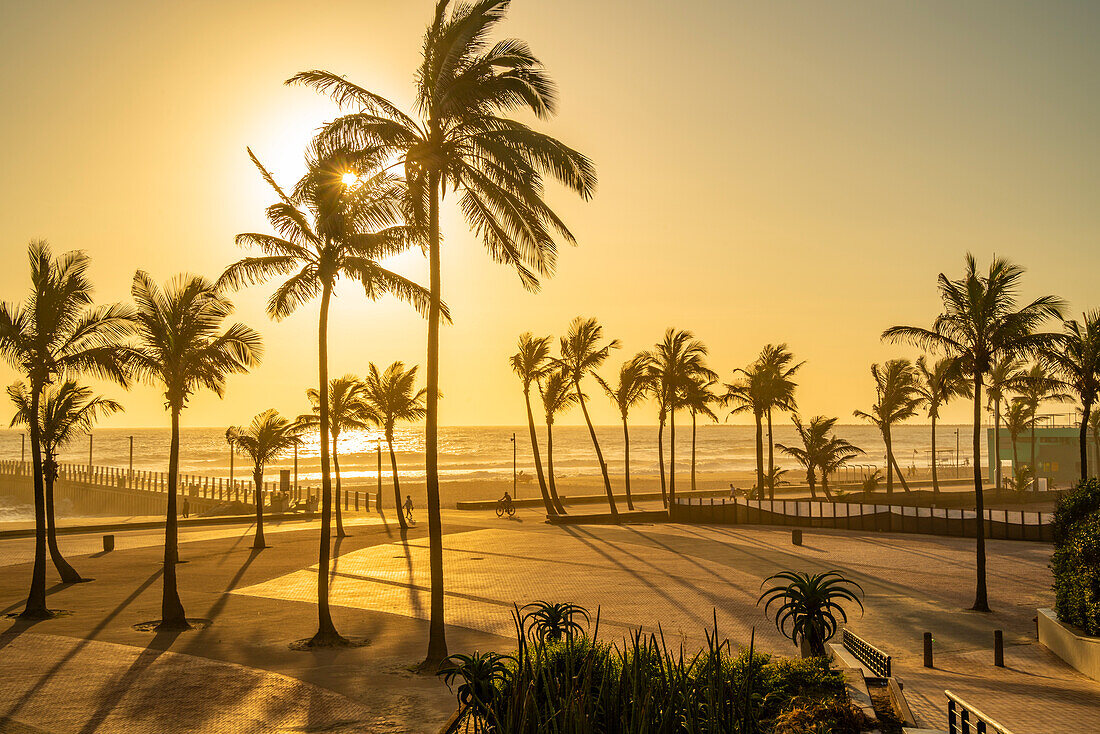 Blick auf Palmen, Promenade und den Indischen Ozean im Hintergrund bei Sonnenaufgang, Durban, Provinz KwaZulu-Natal, Südafrika, Afrika