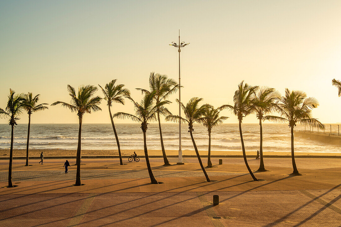 Blick auf Palmen, Promenade und den Indischen Ozean im Hintergrund bei Sonnenaufgang, Durban, Provinz KwaZulu-Natal, Südafrika, Afrika