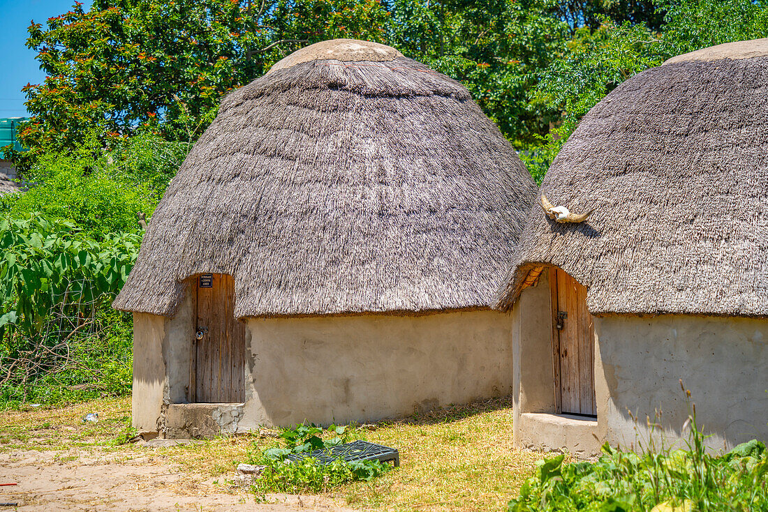 Blick auf Strohdachhäuser im traditionellen Zulu-Dorf, Veyane Cultural Village, Khula, Khula Village, Provinz KwaZulu-Natal, Südafrika, Afrika