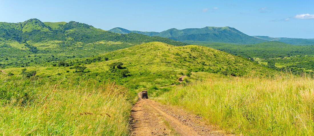 Blick auf Safarifahrzeuge im Hluhluwe-Imfolozi-Park (Umfolozi), dem ältesten Naturschutzgebiet Afrikas, Provinz KwaZulu-Natal, Südafrika, Afrika