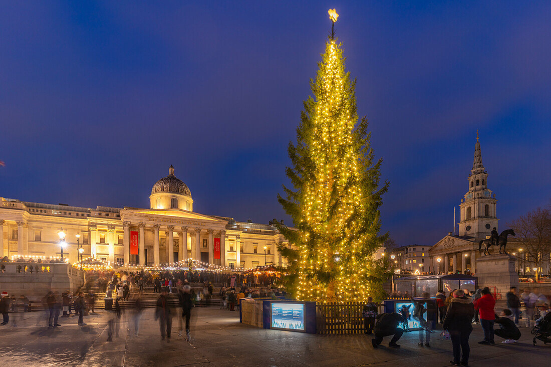 Blick auf den Weihnachtsmarkt und den Weihnachtsbaum vor der National Gallery am Trafalgar Square in der Abenddämmerung, Westminster, London, England, Vereinigtes Königreich, Europa