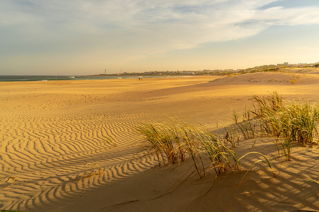 Blick auf Sanddünen und Strand mit Seal Point Leuchtturm im Hintergrund, Cape St. Francis, Ostkap-Provinz, Südafrika, Afrika