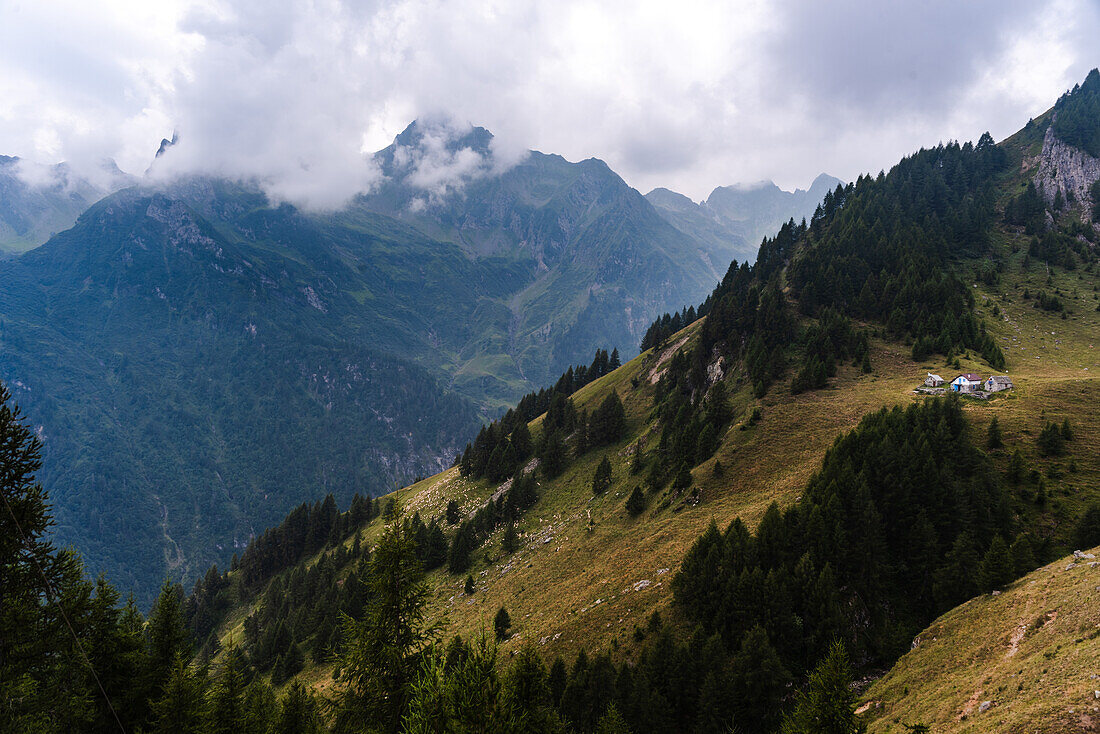 Sommerliche Alpenhänge mit Wiesen und Wäldern und idyllischer Berghütte zur Begrüßung von Wanderern, Italienische Alpen, Italien, Europa