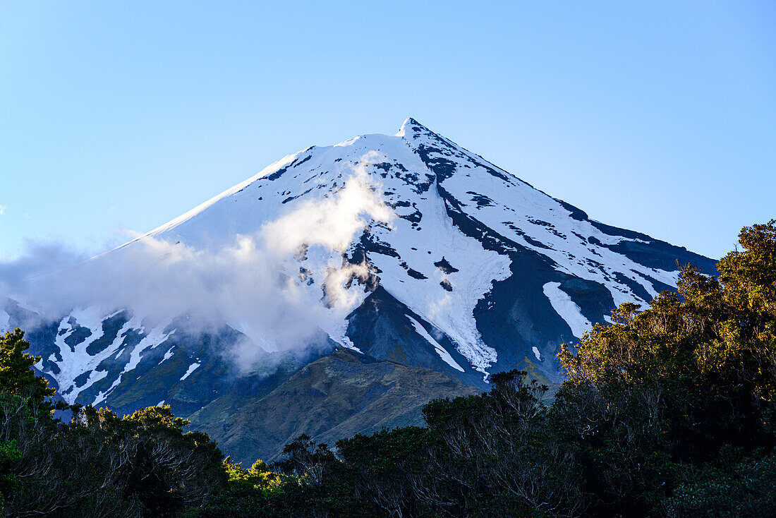 Abendliche Nahaufnahme des Mount Taraniki, verschneiter Vulkangipfel mit blauem Himmel und Wald, Nordinsel, Neuseeland, Pazifik