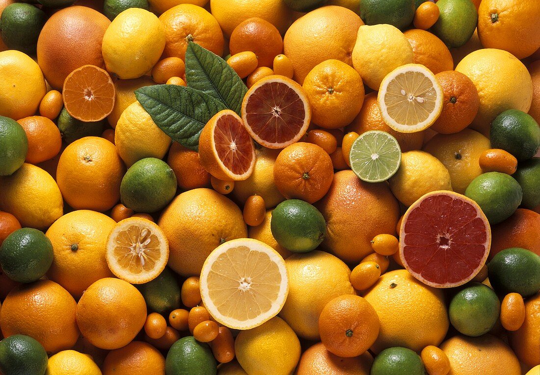 Citrus Fruit Still Life