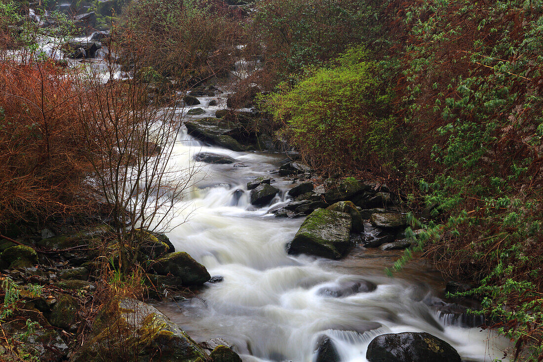 West Lyn River, Glen Lyn Gorge, Lynmouth, North Devon, England, Vereinigtes Königreich, Europa