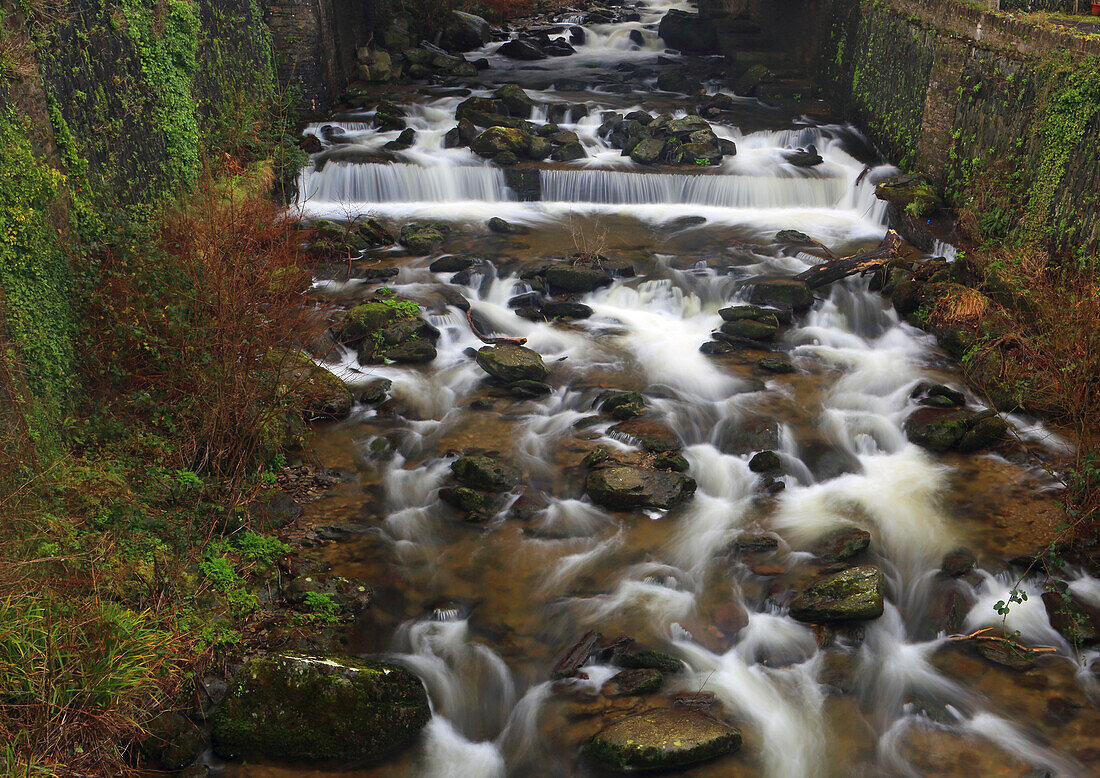 West Lyn River, Glen Lyn Gorge, Lynmouth, North Devon, England, United Kingdom, Europe