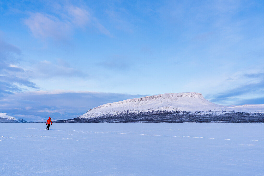 Man in the Arctic landscape walks on the icy surface of a Finnish lake in front of Saana hill (fell) at dusk, Kilpisjarvi, Enontekio municipality, Finnish Lapland, Finland, Scandinavia, Europe