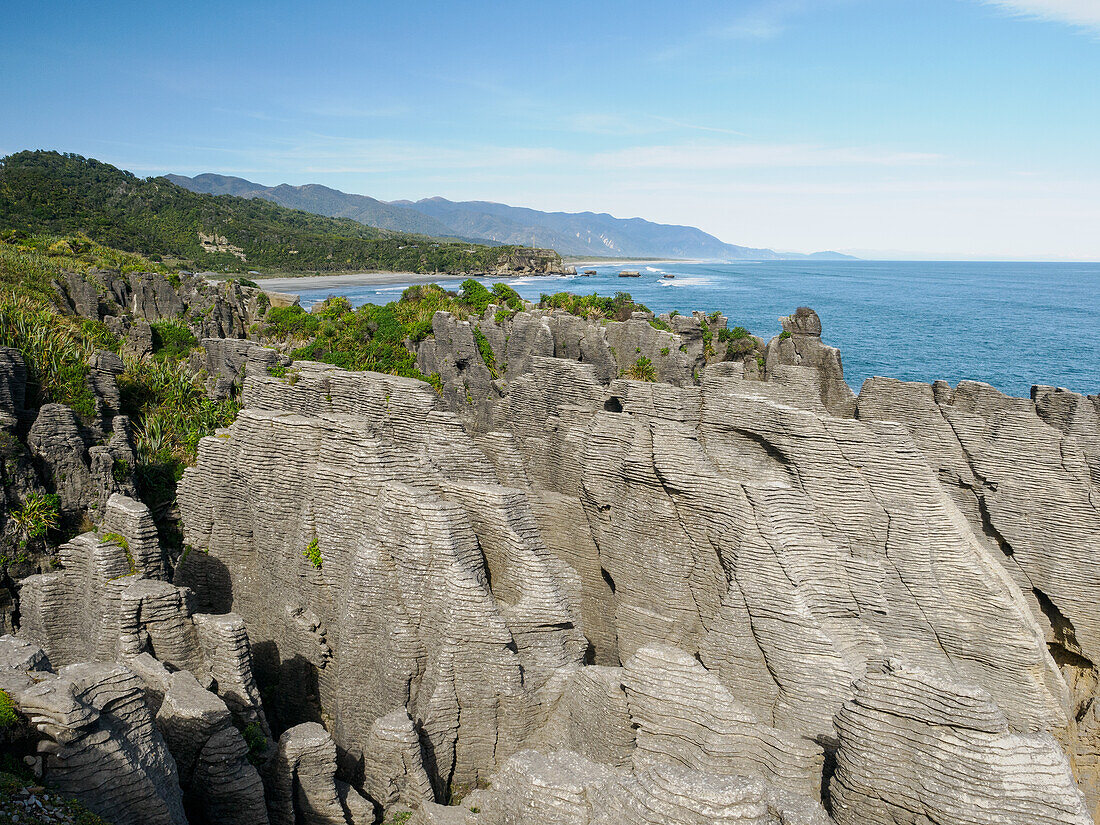 Die Pancake Rocks, eine ungewöhnliche Formation aus Kalkstein, der wie Sedimentgestein geschichtet und von Wasser und Wind erodiert wurde, Punakaiki, Westküste, Südinsel, Neuseeland, Pazifik