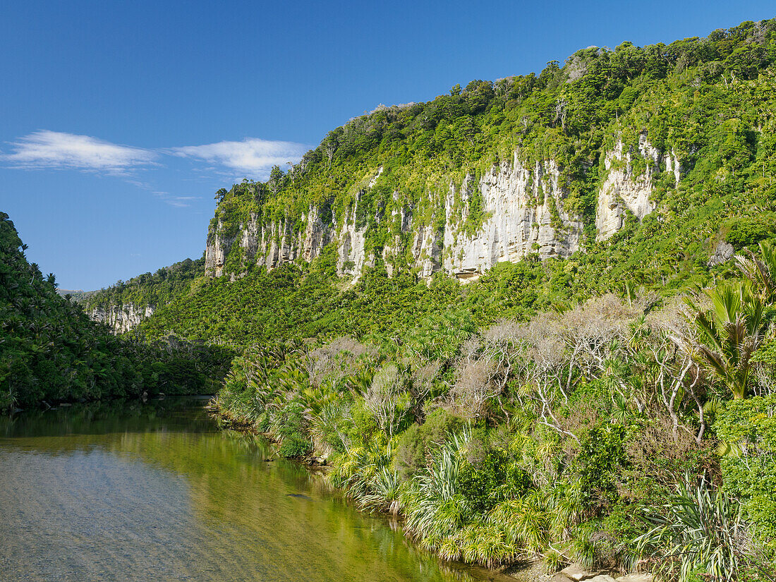 Pororari River, West Coast, South Island, New Zealand, Pacific