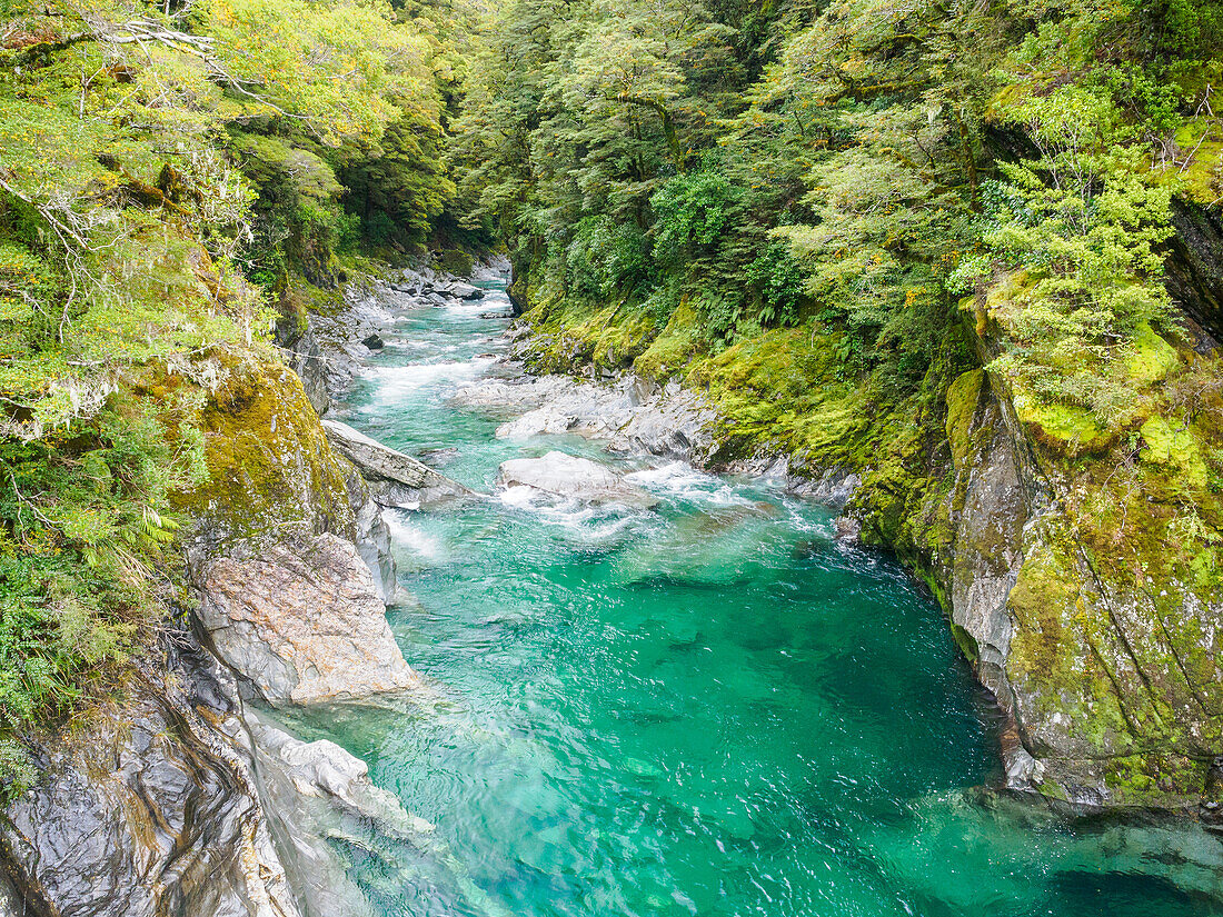 Blue River, Westküste, Südinsel, Neuseeland, Pazifik