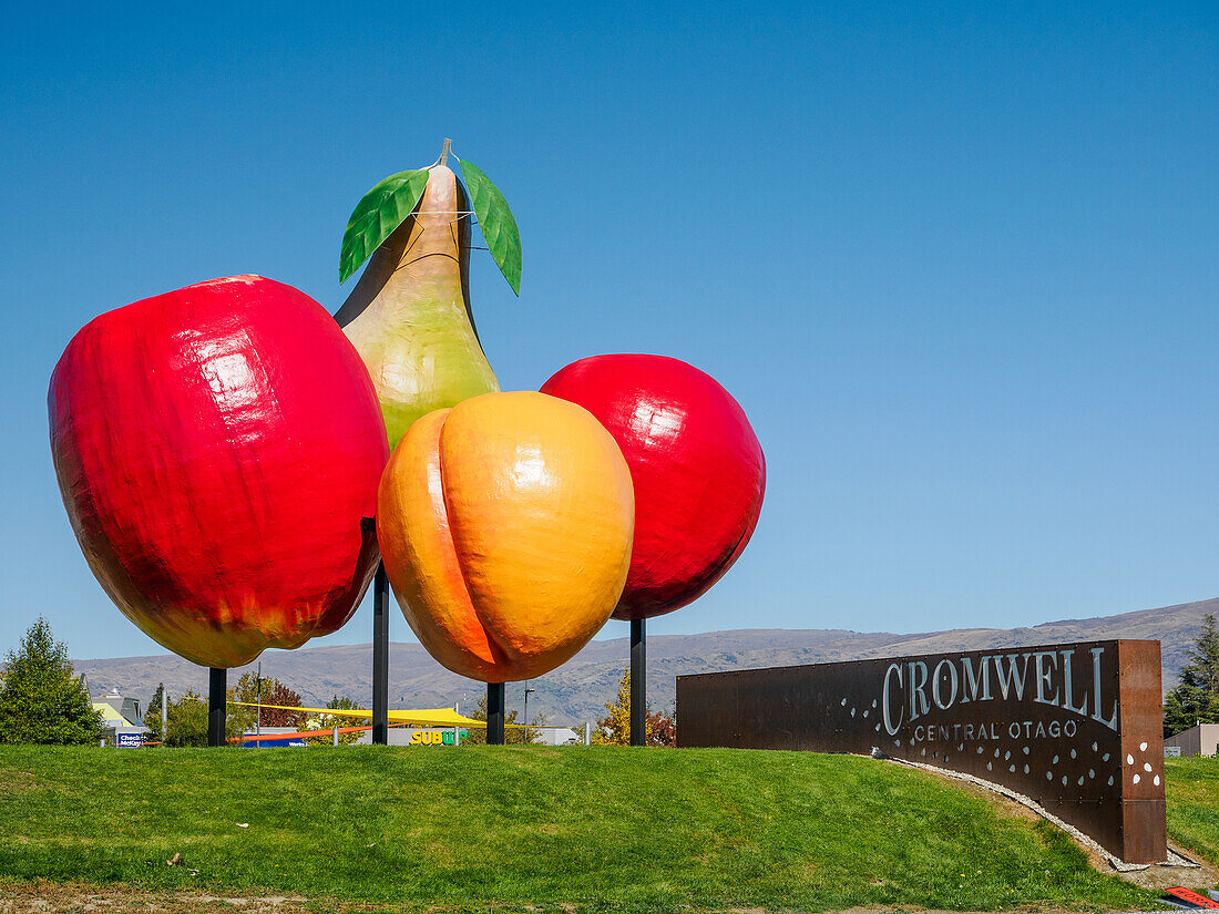 Giant fruit in Cromwell, a small town in the middle of a region of orchards and vineyards, Cromwell, Otago, South Island, New Zealand, Pacific