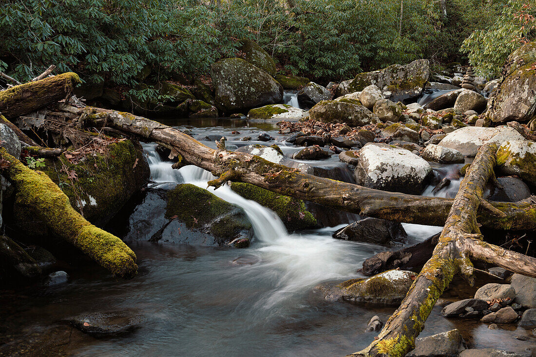 Roaring Creek Wasserfälle, Appalachian Trail, Blue Ridge Mountains, North Carolina, Vereinigte Staaten von Amerika, Nordamerika