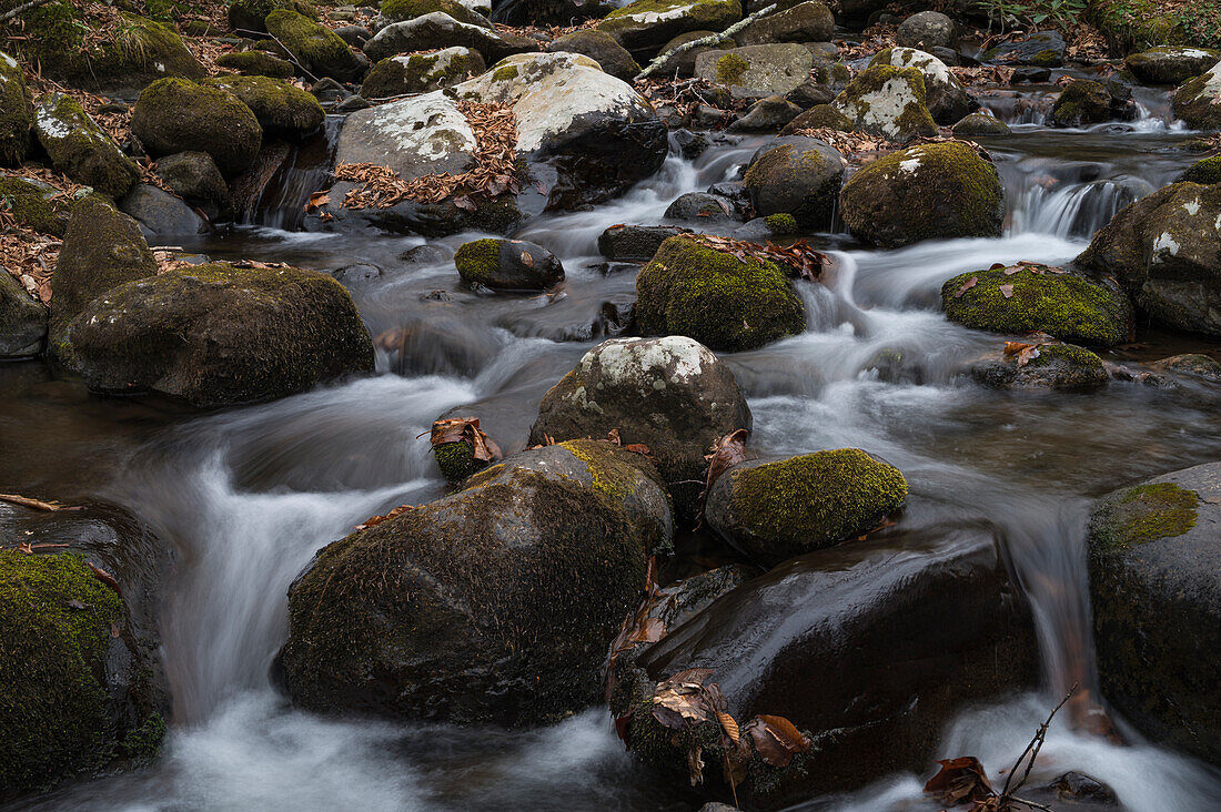 Roaring Creek Wasserfälle, Appalachian Trail, Blue Ridge Mountains, North Carolina, Vereinigte Staaten von Amerika, Nordamerika