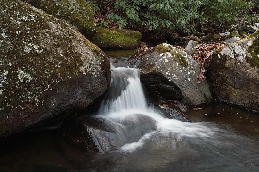 Roaring Creek Wasserfälle, Appalachian Trail, Blue Ridge Mountains, North Carolina, Vereinigte Staaten von Amerika, Nordamerika