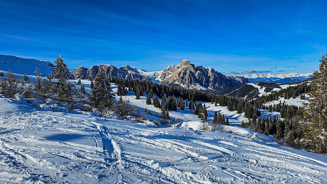 Snowy winter landscape with trees and peaks, Dolomites, Italy, Europe