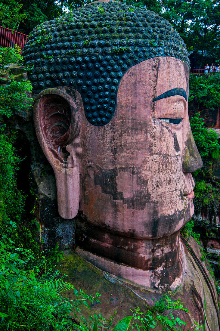 Der Riesenbuddha von Leshan, der größte Steinbuddha der Welt, Mount Emei Scenic Area, UNESCO-Weltkulturerbe, Leshan, Sichuan, China, Asien