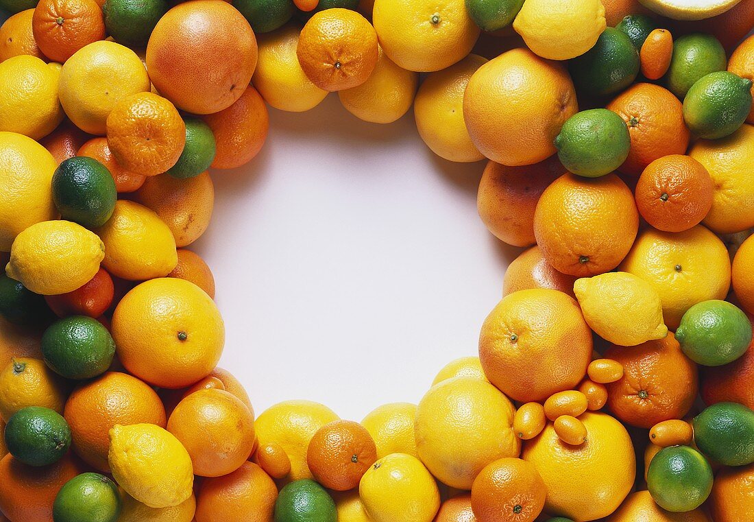 Citrus Fruit Still Life in a Wreath