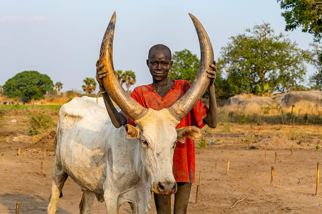 Mundari-Junge posiert mit einer Langhornkuh, Mundari-Stamm, Südsudan, Afrika