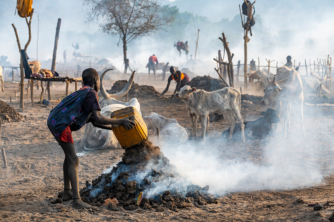 Junger Junge sammelt Kuhdung, Stamm der Mundari, Südsudan, Afrika