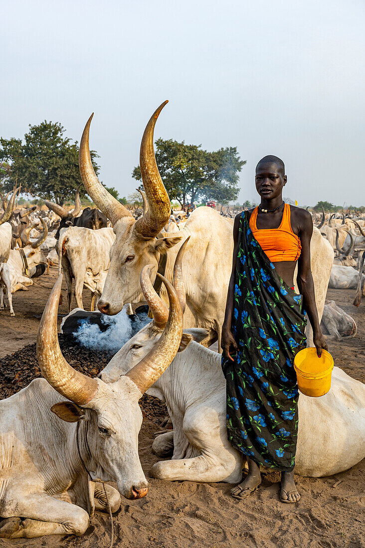 Woman posing with huge long horn cows, Mundari tribe, South Sudan, Africa