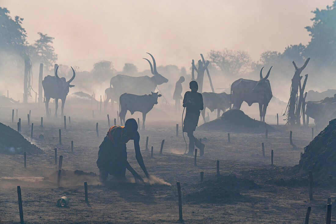 Gegenlichtaufnahme eines Mundari-Viehlagers, Stamm der Mundari, Südsudan, Afrika