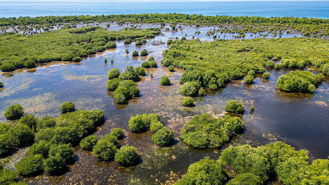 Aerial of the swamps of Grande Santa Cruz Island, Zamboanga, Mindanao, Philippines, Southeast Asia, Asia