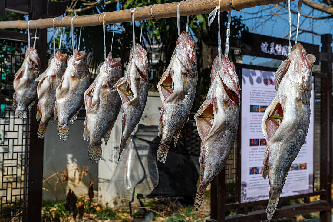 Fish for sale, Xidi historic ancient village, UNESCO World Heritage Site, Xidi, Anhui, China, Asia