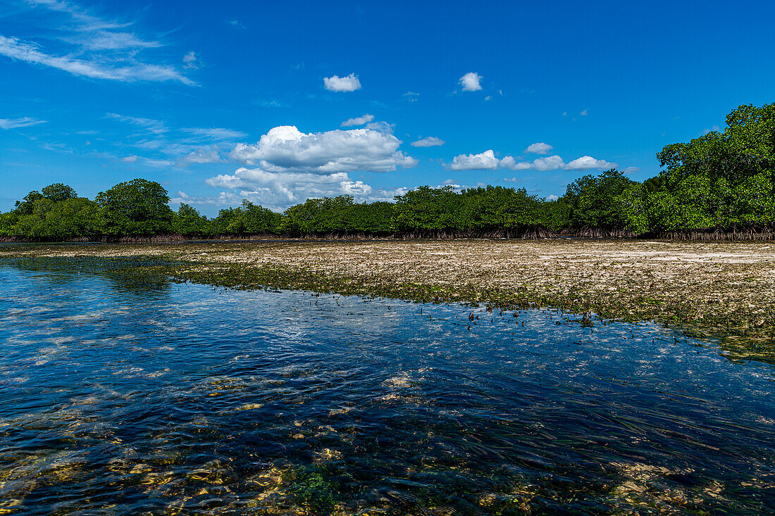 Sümpfe in Grande Santa Cruz Island, Zamboanga, Mindanao, Philippinen, Südostasien, Asien