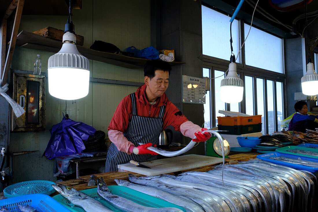 Haarschwanzfisch (galchi jorim), lang, dünn und silbrig, wird von den Einheimischen der Insel Jeju sehr geschätzt und auf den meisten Märkten verkauft, Jeju, Südkorea, Asien