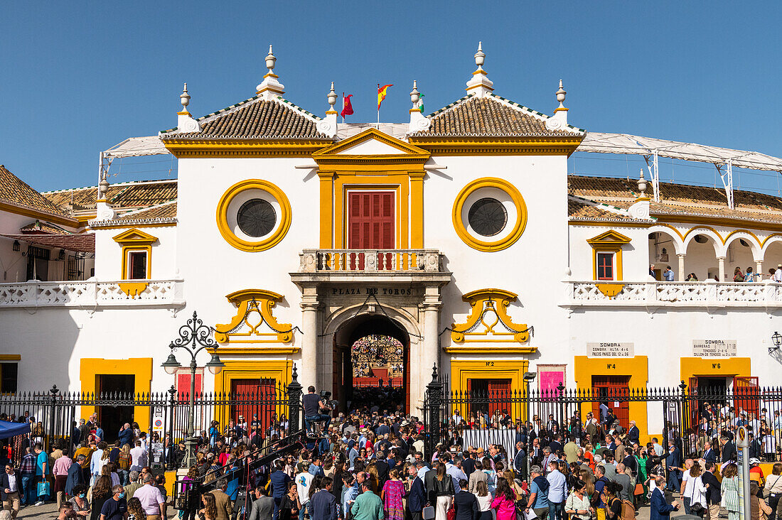 Plaza de Toros de la Real Maestranza de Caballeria de Sevilla (Maestranza Bullring) during Feria de Abril, Seville, Andalusia, Spain, Europe