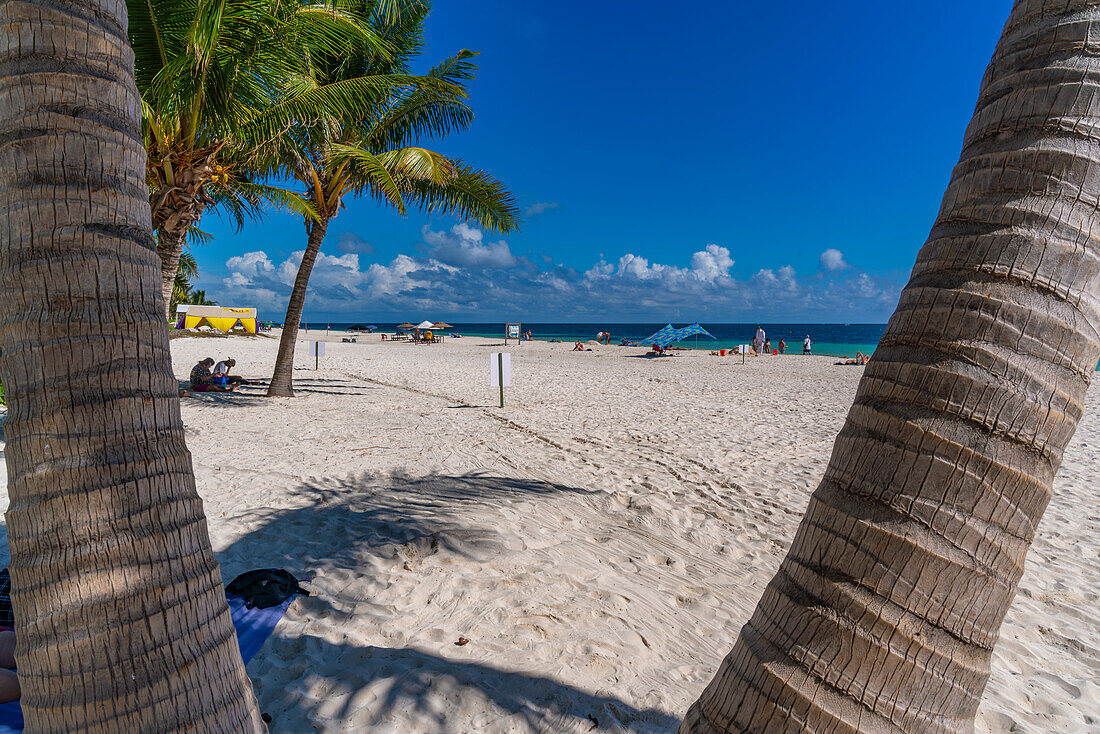 Blick auf Strand und Palmen in Puerto Morelos, Karibikküste, Yucatan-Halbinsel, Riviera Maya, Mexiko, Nordamerika