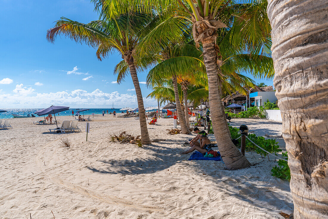 Blick auf Strand und Palmen in Puerto Morelos, Karibikküste, Yucatan-Halbinsel, Riviera Maya, Mexiko, Nordamerika