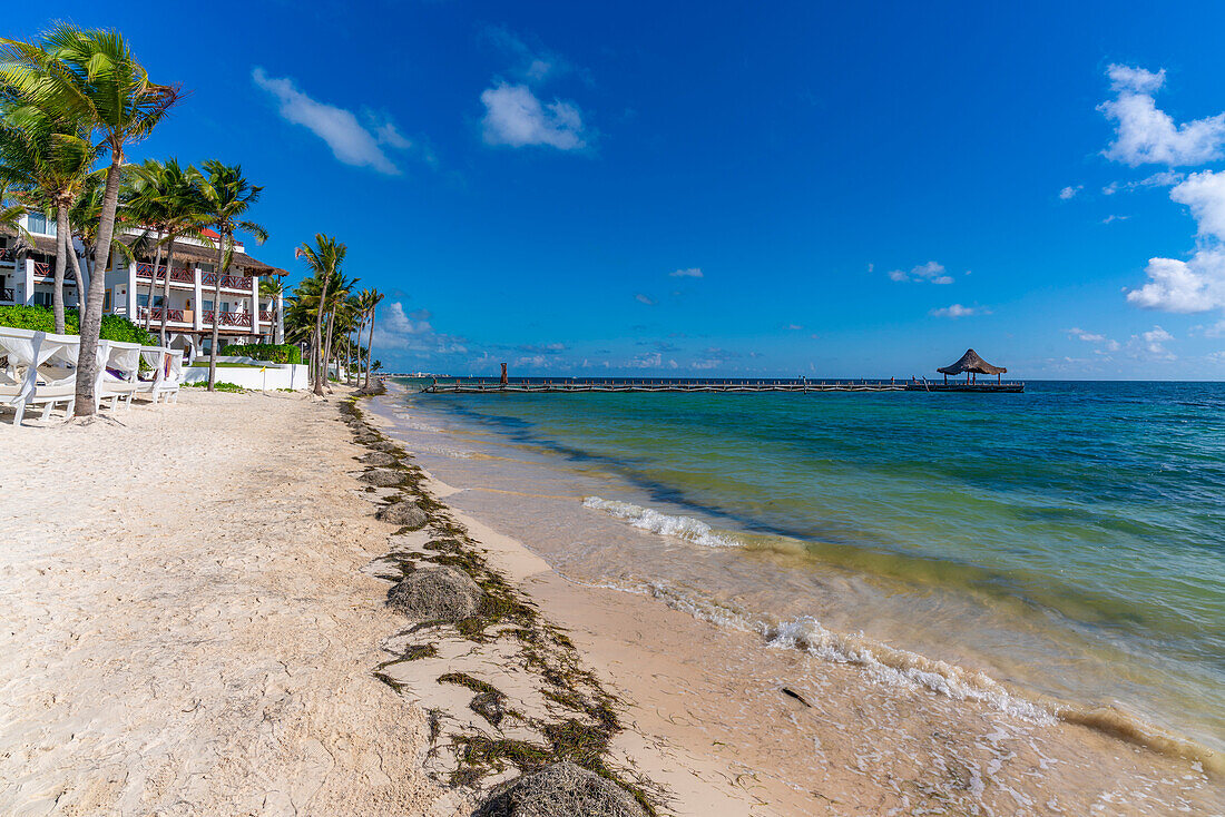 Blick auf Palmen und Hotel am Strand von Puerto Morelos, Karibikküste, Yucatan-Halbinsel, Riviera Maya, Mexiko, Nordamerika