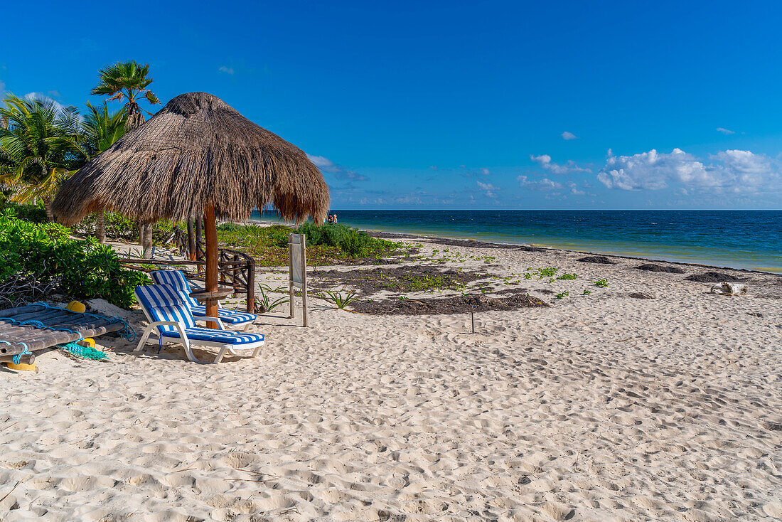 Blick auf Sonnenliegen und Palmen am Strand von Puerto Morelos, Karibikküste, Yucatan-Halbinsel, Riviera Maya, Mexiko, Nordamerika