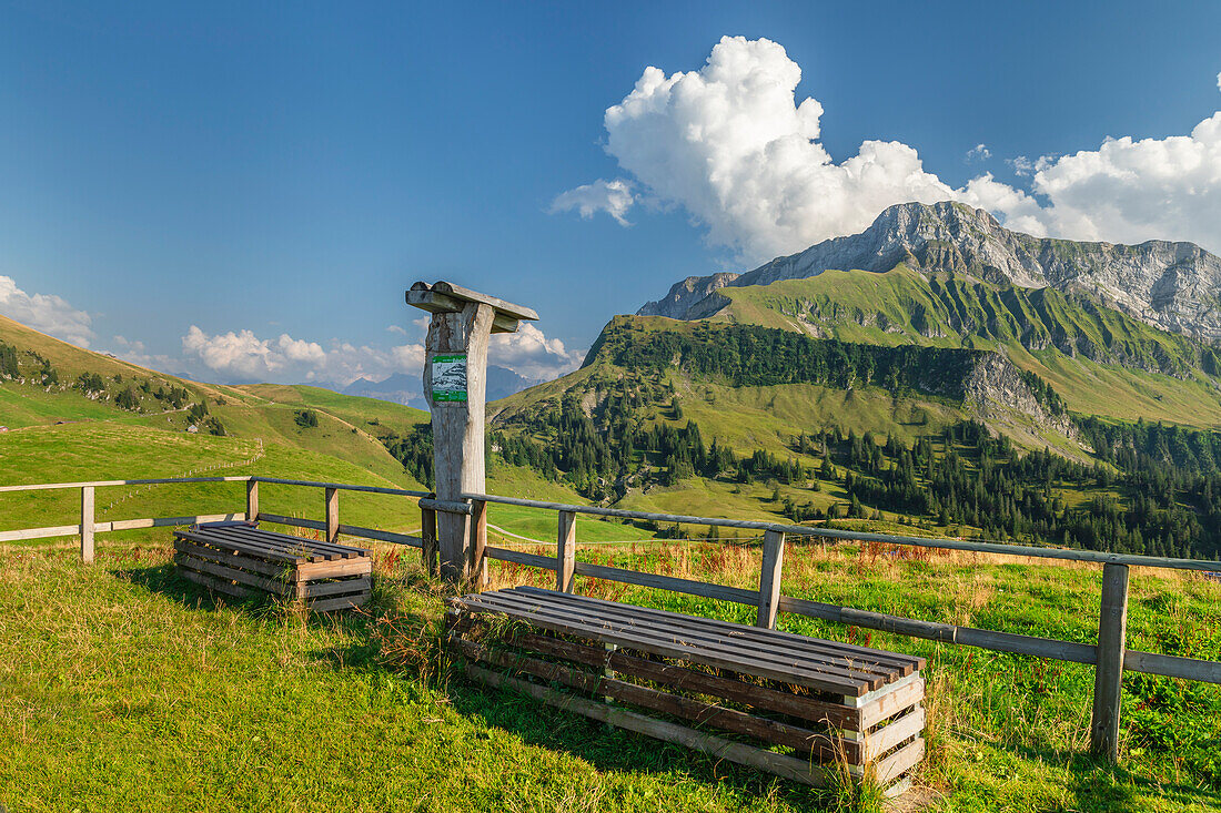 Berg Oberbauen, Vierwaldstättersee, Kanton Uri, Schweiz, Europa