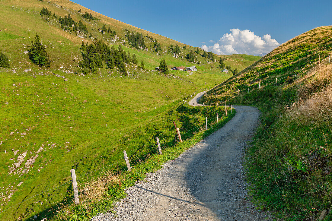 Hiking path on Niederbauen Mountain, 1923m, Lake Lucerne, Canton Uri, Switzerland, Europe