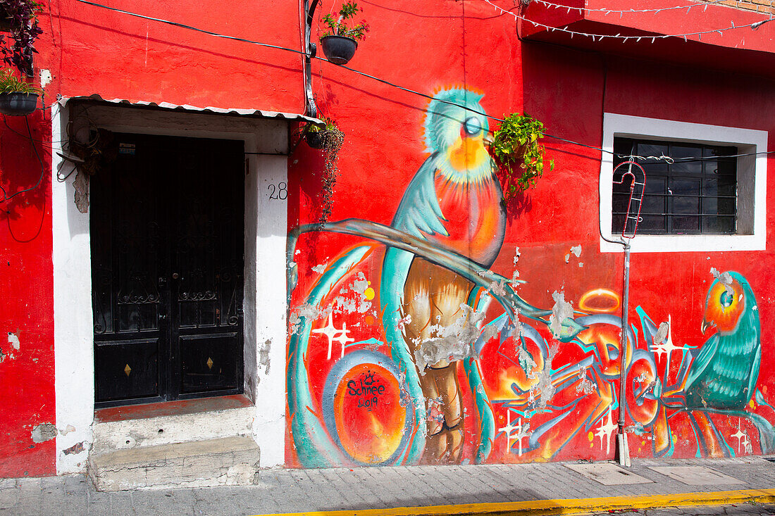 Mural, colourful Street Art, Avenue Hidalgo, Atlixco, Pueblos Magicos, Puebla State, Mexico, North America