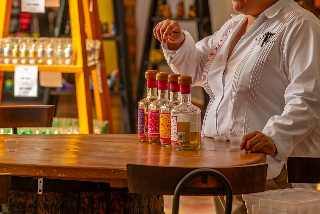 Blick auf eine Tequila-Verkostung in der Nähe von Puerto Morelos, Karibikküste, Halbinsel Yucatan, Riviera Maya, Mexiko, Nordamerika