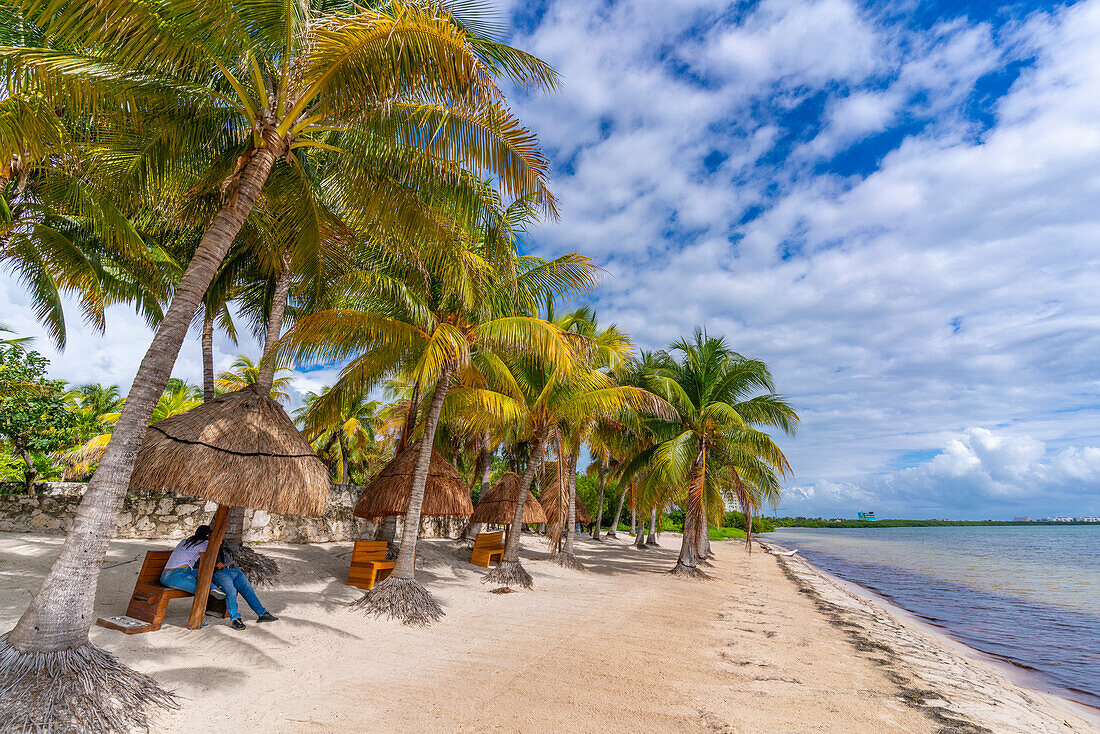 View of palm trees and Playa Delfines, Cancun, Caribbean Coast, Yucatan Peninsula, Riviera Maya, Mexico, North America