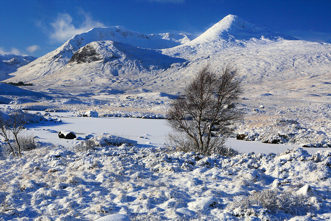 Rannoch Moor in winter, Highland, Scotland, United Kingdom, Europe