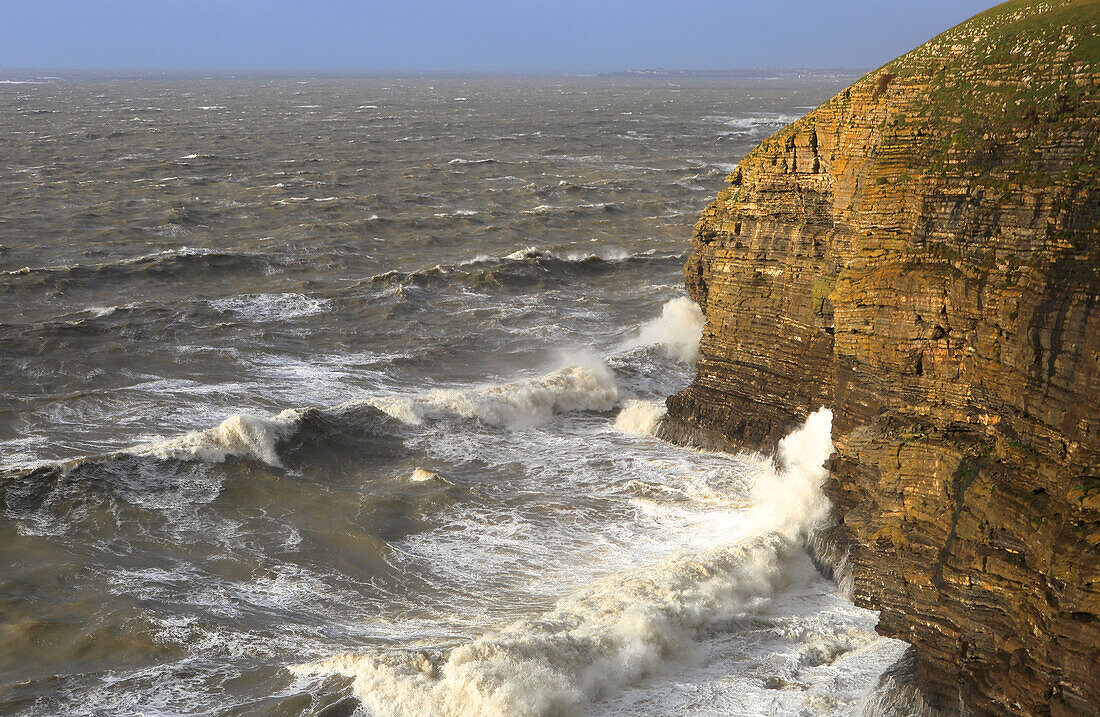 Kalksteinklippen in der Nähe von Southerndown, Glamorgan Heritage Coast, Südwales, Vereinigtes Königreich, Europa