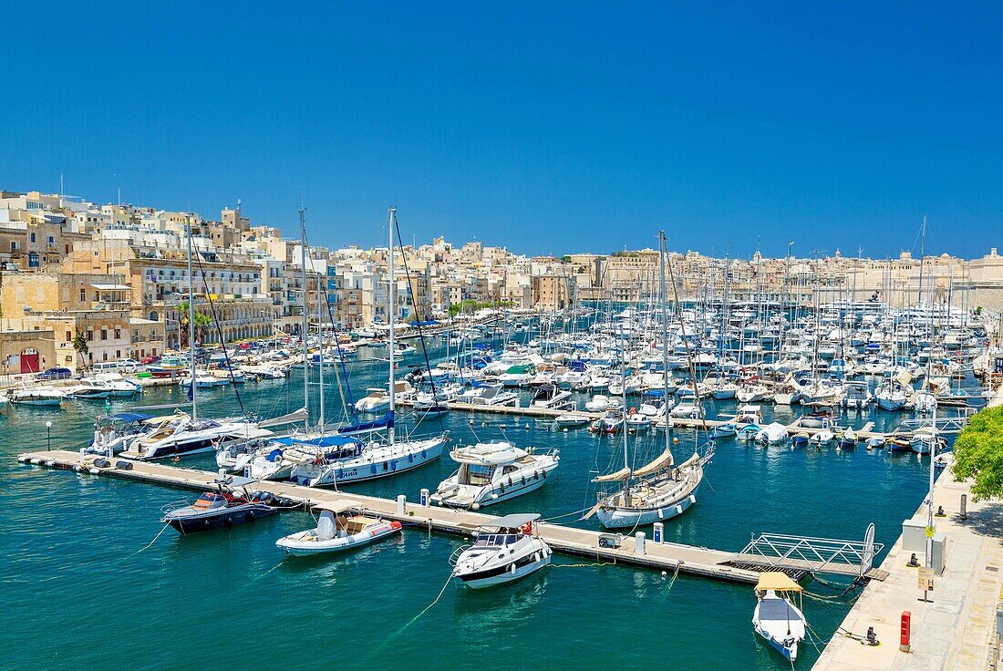 Der Yachthafen von Vittoriosa, Valletta, Malta, Mittelmeer, Europa