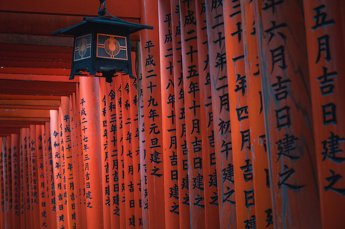 Die roten Torii-Tore am Fushimi Inari Taisha-Schrein in Kyoto, Honshu, Japan, Asien