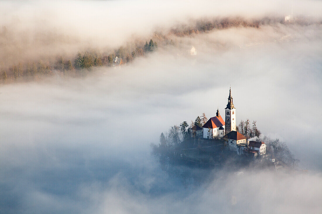 Misty day, Lake Bled, Slovenia, Europe