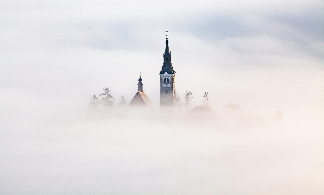 Misty morning, Lake Bled, Slovenia, Europe