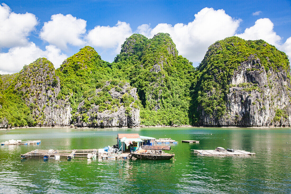 Ha Long Bay, UNESCO World Heritage Site, Vietnam, Indochina, Southeast Asia, Asia