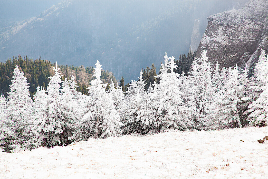 Winterlandschaft im Ceahlau-Gebirge, Rumänien, Europa