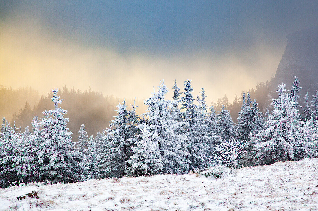 Winterlandschaft im Ceahlau-Gebirge, Rumänien, Europa