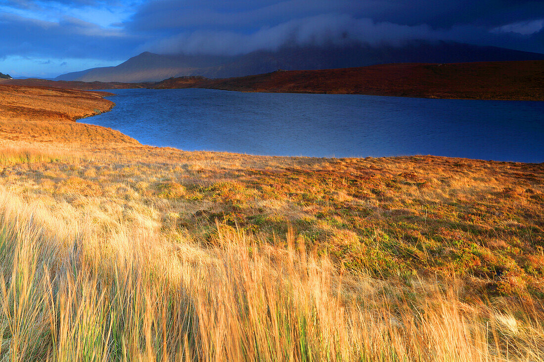 Moorland and mountains of northern Sutherland in winter, Highlands, Scotland, United Kingdom, Europe